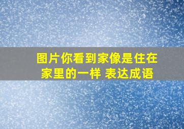 图片你看到家像是住在家里的一样 表达成语